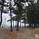 등명해변 이미지