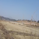 나루마을 이미지