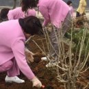 의료법인 효송의료재단 서안산노인전문병원 이미지