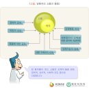 동래성모병원