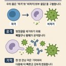 면역농부 이미지