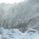 뚜꺼비구이 이미지