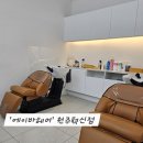 빵독 반려미용실 | 원주혁신도시 미용실 추천 에이바헤어 머리결 반전 클리닉 후기