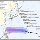 위투