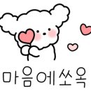 방배목장 강릉점 이미지