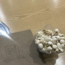 맨지기치킨 | 여의도치킨, 여의도 치맥, 여의도 맥주, 흑백 요리사 맨지기 치킨 직접 다녀온 후기!