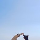 네오스 양양 | 여자 혼자 양양 일주일살기 E7 오션뷰 6박 7일 내돈내산