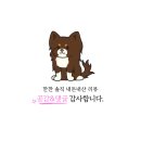 서울 2023 케이펫페어세텍Setec 첫날 방문 후기