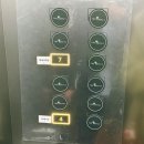 우리은행 구내식당 | 우리은행 본점 결혼식 명동 회현역 웨딩홀 뷔페 하객 후기