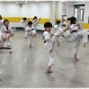 더힘찬태권도 이미지