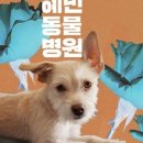 지누동물병원 이미지