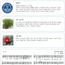 남해해성고등학교 이미지