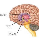 AI시대, 감각이 경쟁력 이미지