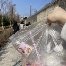 중랑천 | 특수학급 지역사회적응훈련 답사 후기 | 의정부 음악도서관, 중랑천 벚꽃길, 키오스크 체험