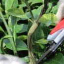 길갈농장 이미지