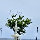 솔비치카페 이미지