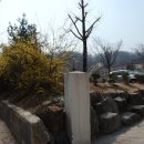 명륜동-4 이미지