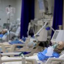 누리동물병원 이미지