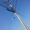 경철농장 Daum카페
