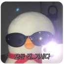 2025 가을 보러오실분
