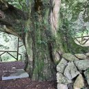 동삼마을회관 이미지