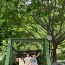 사랑애민박 이미지