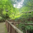 잣나무 향기 펜션 | 생생정보 숲속 힐링 숙소 국립횡성숲체원 예약 숙박비 숙소를 찾아줘 정보