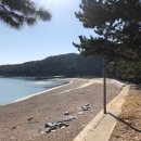 금장해수욕장 이미지