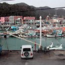 뉴산호장 이미지