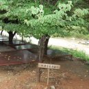 의룡계곡펜션 이미지