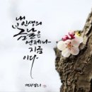 봄날 이미지
