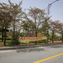 봉화황토테마파크 이미지