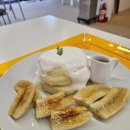 중마애견 이미지