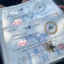 워터큐코리아 | 2025 한강 크로스 스위밍 노핀 후기 준비물, 주차장, 오픈워터 꿀팁 완벽 가이드