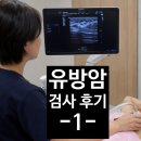 수○1 | 제가 유방암일수도 있다고요? 유방암 검사 후기 1