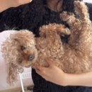 근아목장 | 2024年 7月