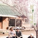 삼시세끼 이미지