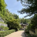 산곡글향기도서관 | 청운문학도서관 사계절 후기 | 서울 아이랑 가볼만한곳, 책육아와 주차팁!