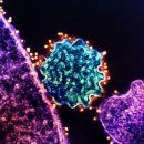 비아한의원 이미지