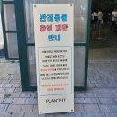 중앙꽃화원 - 남구 문수로 472 | 용인 식물원 대형카페, 넓은 온실화원 아이동반 방문하기 좋은 베이커리 맛집-어반리프