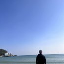 해운대 31Cm 해물칼국수 이미지