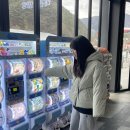 경기도 수원시 장안구 창훈로29번길 이미지