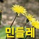 김문옥감독의 신작 영화 ‘민들레’ 제작 회의 이미지