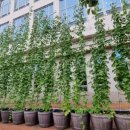 오정어울마당 이미지