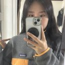 주3회 입는 파타고니아 신칠라 여자 사이즈 M 후기