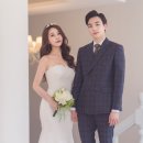 파리스토 이미지