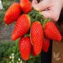 항구목장 이미지