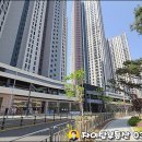 스타태권도스쿨 이미지