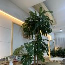 백년회관서서갈비장곡점 이미지