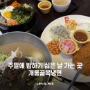 개롱골목냉면 | 개롱역 냉면 맛집 솔직 후기ㅣ개롱골목냉면ㅣ물냉 꼭 드세요